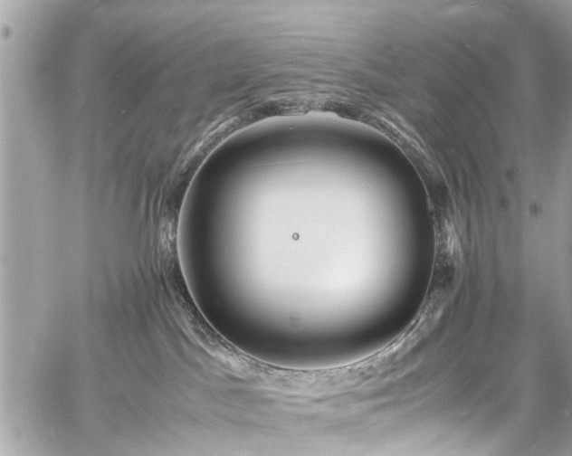 X0000060750045200511141210