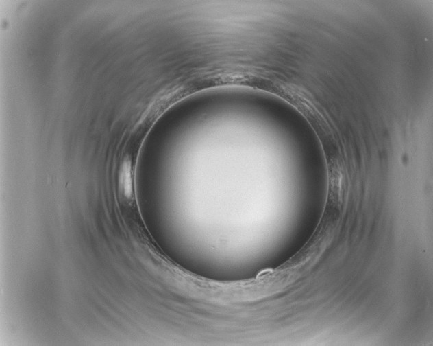 X0000060750046200511141210