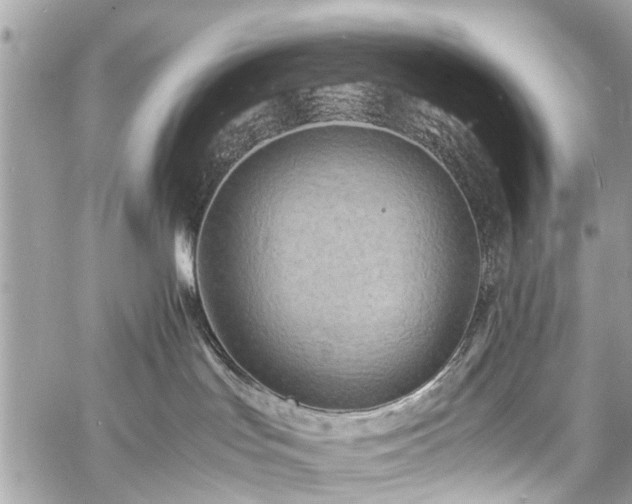 X0000060750047200511141210