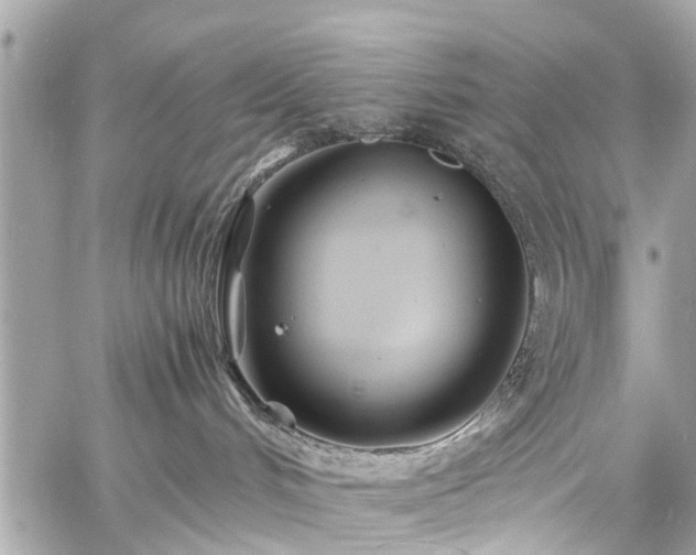 X0000060750048200511141210