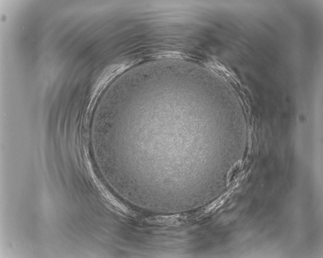 X0000060750049200511141209