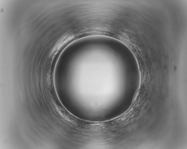 X0000060750050200511141209