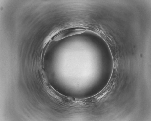 X0000060750052200511141209