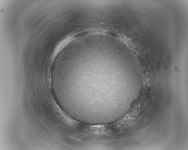 X0000060750053200511141209