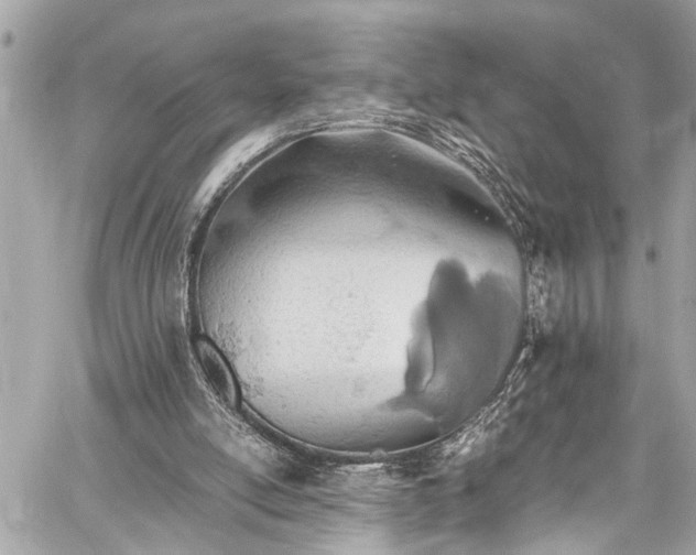 X0000060750054200511141209