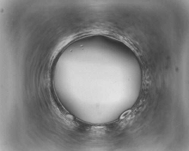 X0000060750055200511141209