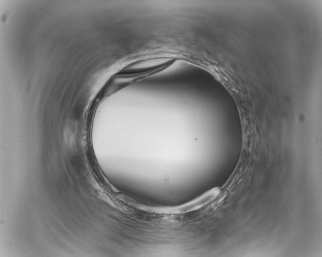 X0000060750056200511141209