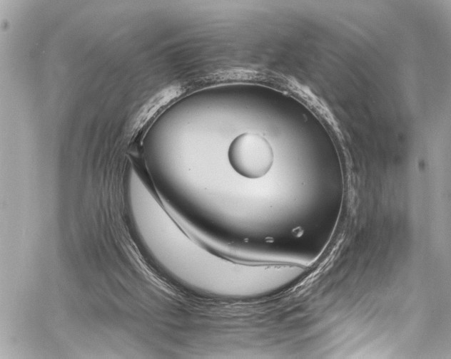 X0000060750057200511141209