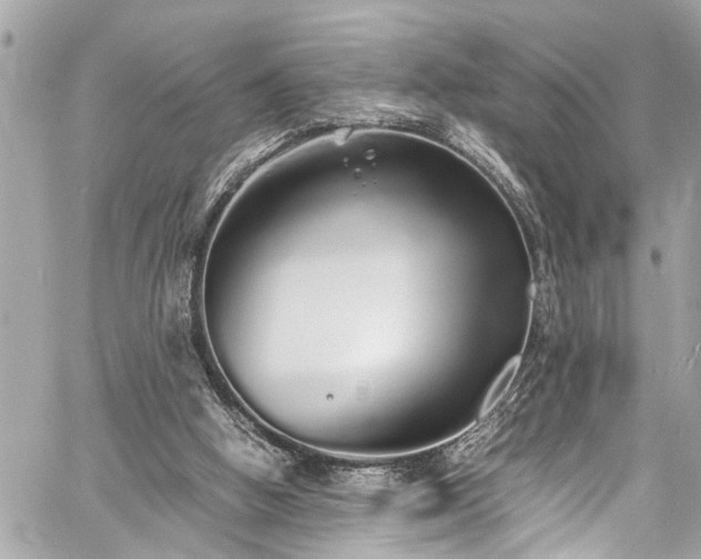 X0000060750058200511141209