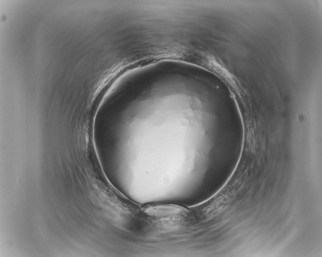 X0000060750059200511141209