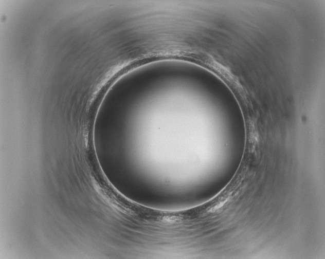 X0000060750060200511141209