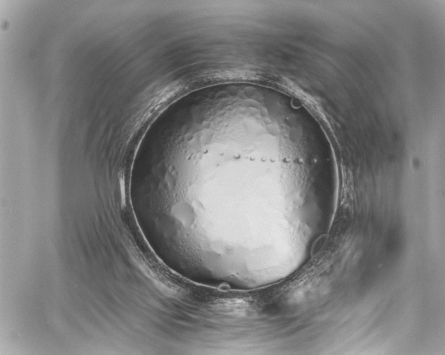 X0000060750061200511141209