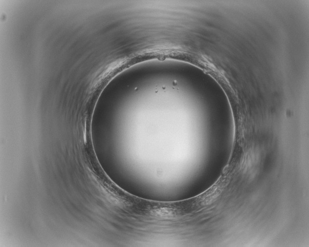 X0000060750062200511141209