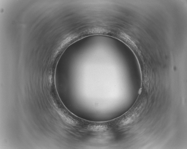 X0000060750063200511141209