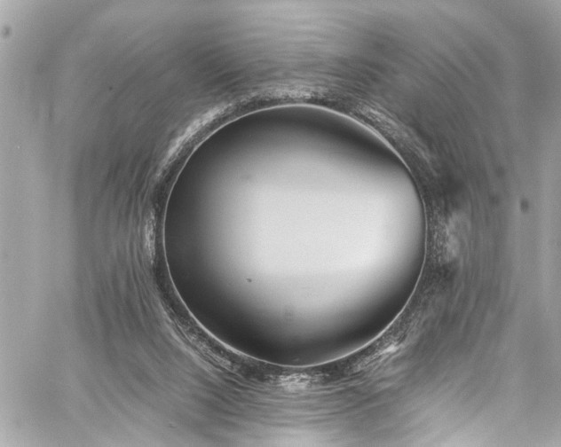 X0000060750064200511141210