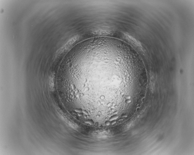 X0000060750065200511141210