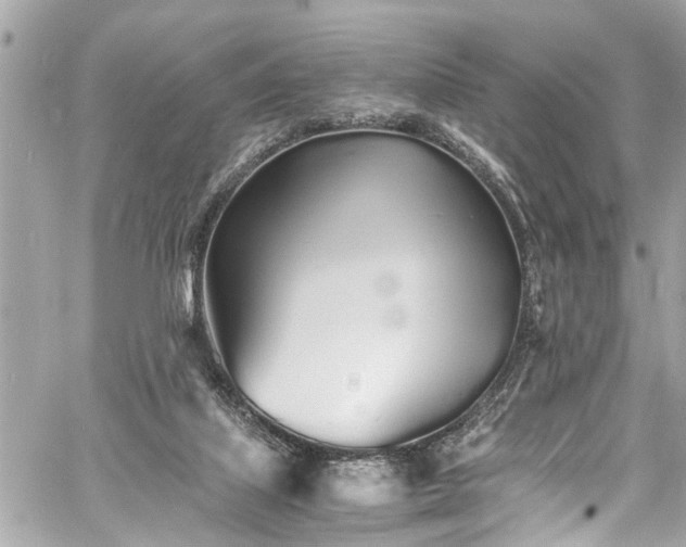 X0000060750067200511141210