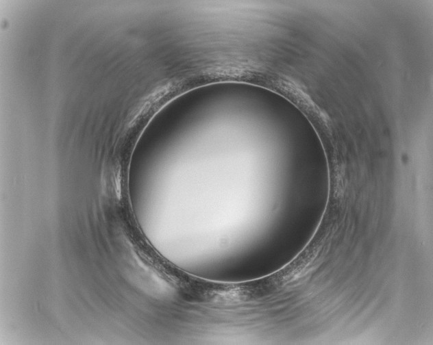 X0000060750068200511141210