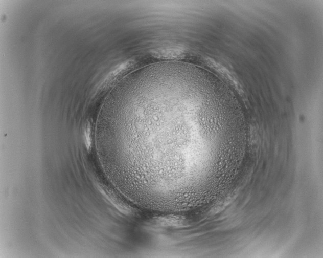 X0000060750069200511141210