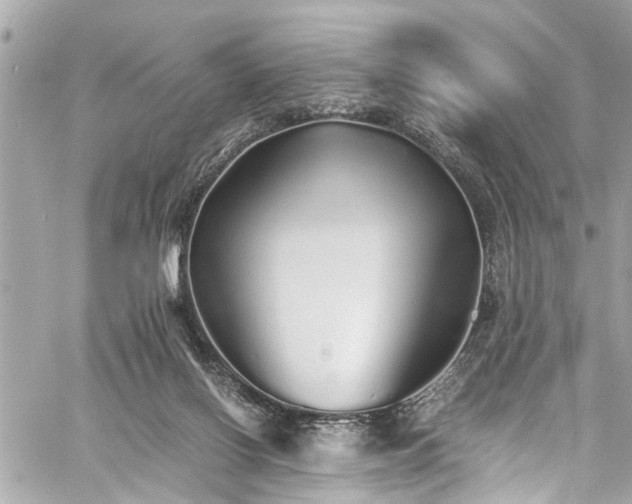 X0000060750070200511141210