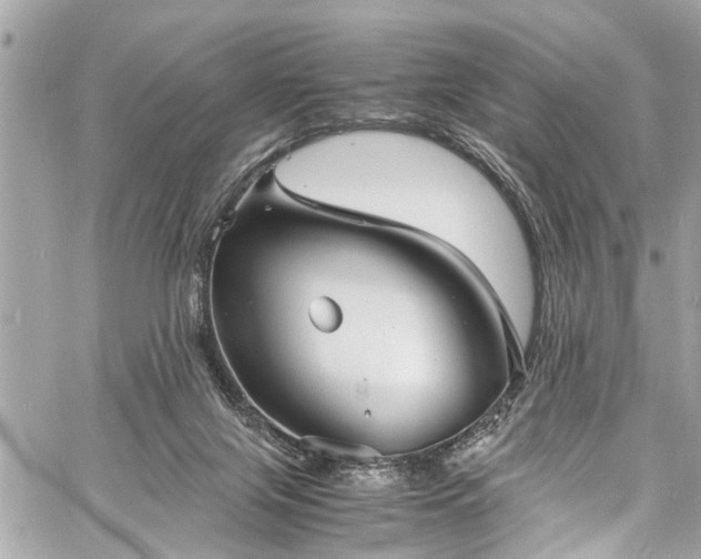 X0000060750071200511141210