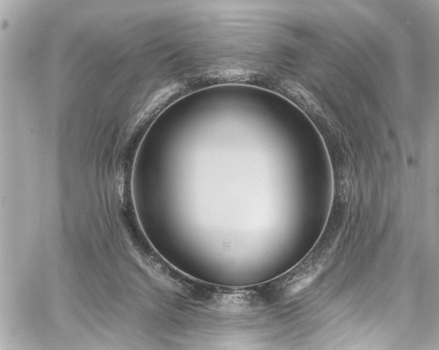 X0000060750072200511141210