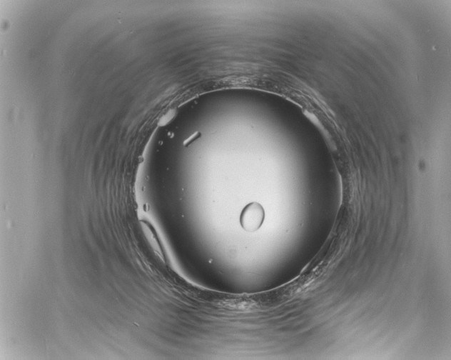 X0000060750073200511141210