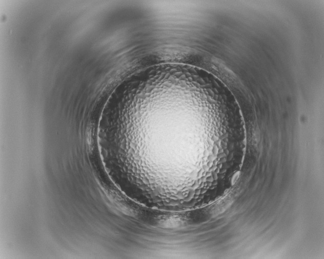 X0000060750074200511141210