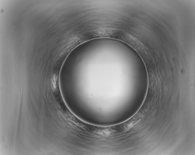 X0000060750075200511141210