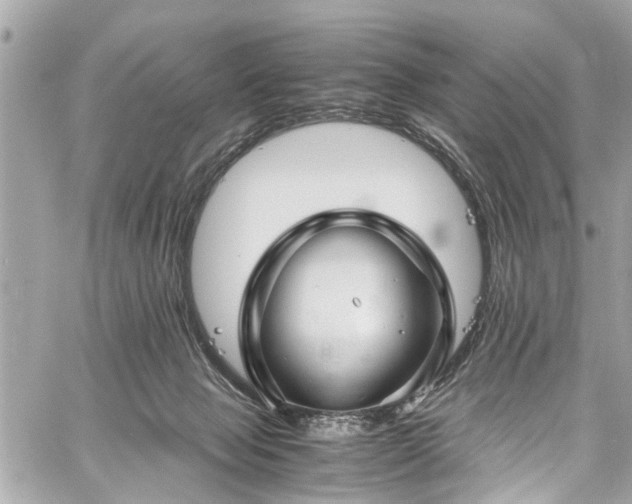 X0000060750077200511141210