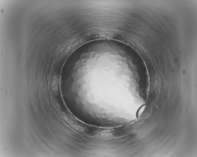 X0000060750078200511141210