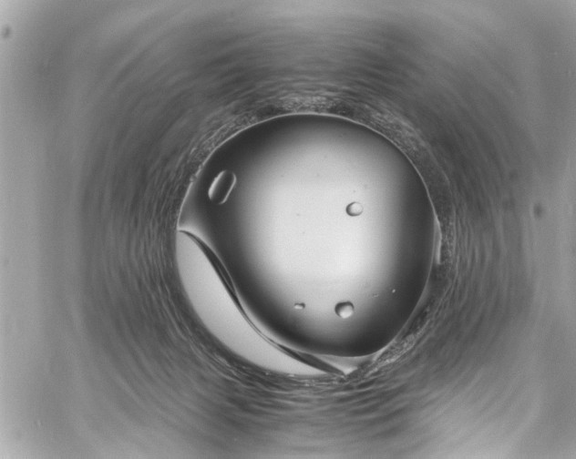 X0000060750079200511141210