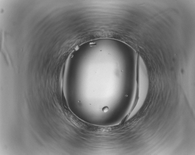 X0000060750080200511141210