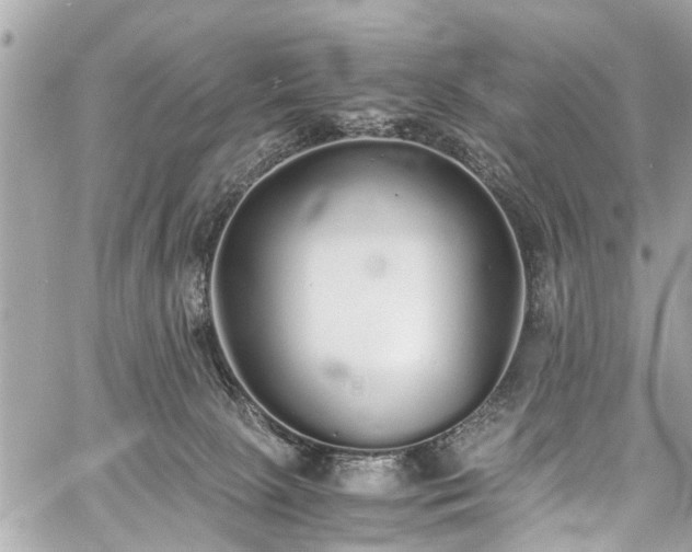 X0000060750081200511141210