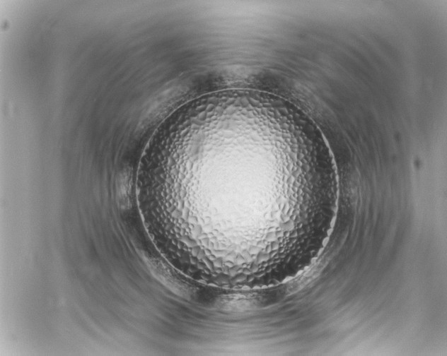 X0000060750082200511141210