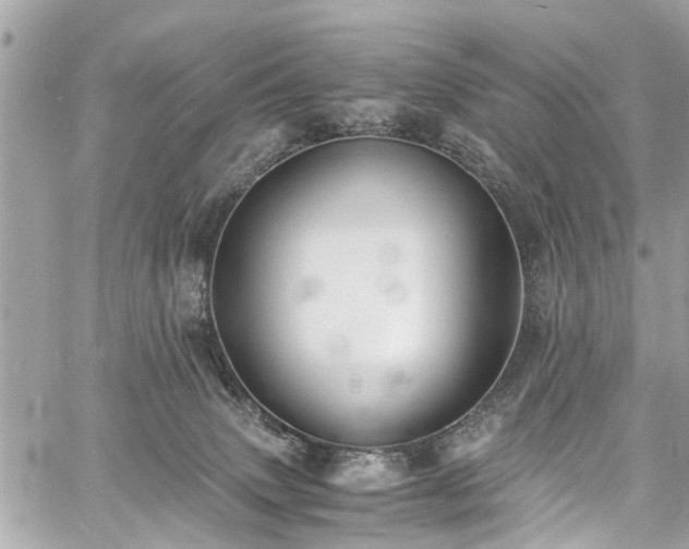 X0000060750083200511141210