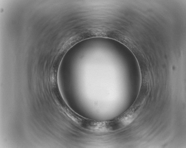 X0000060750084200511141210