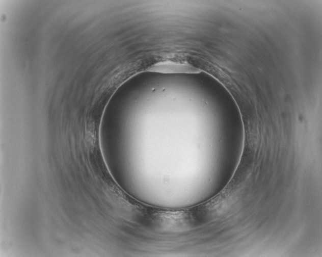 X0000060750085200511141210