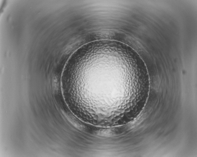 X0000060750086200511141210