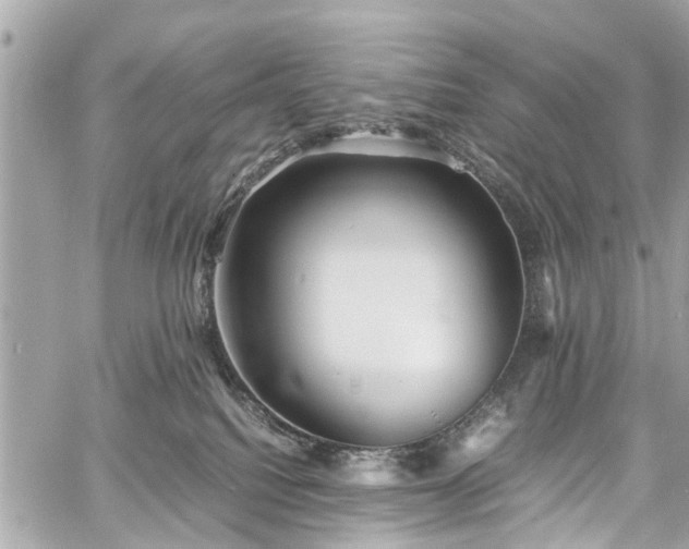 X0000060750088200511141210