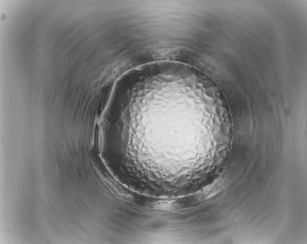 X0000060750090200511141210