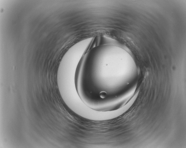 X0000060750091200511141210