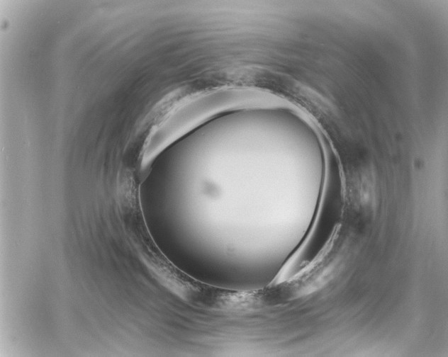 X0000060750092200511141210