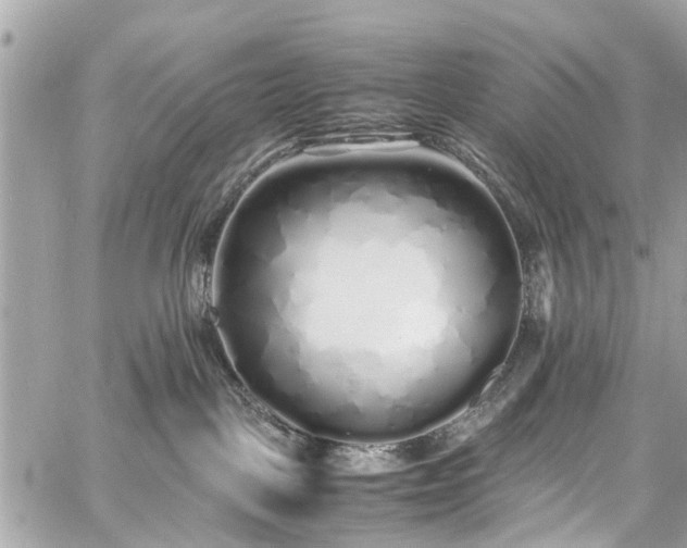 X0000060750093200511141210