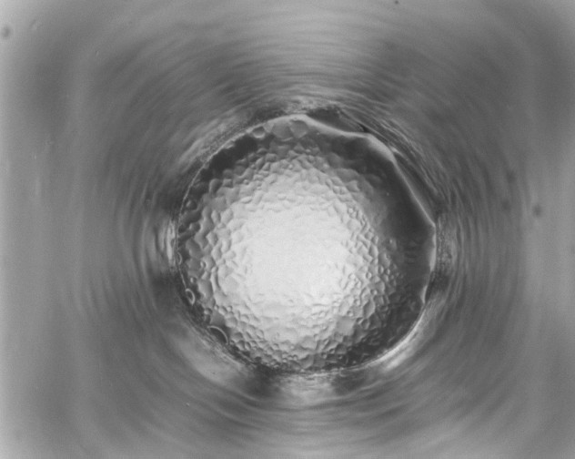 X0000060750094200511141210