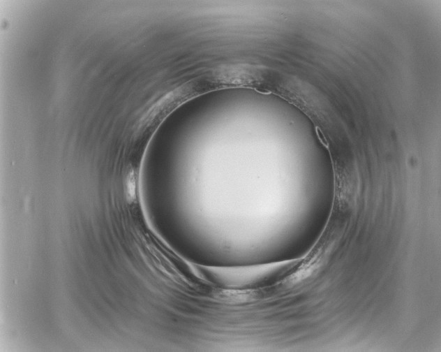 X0000060750095200511141210