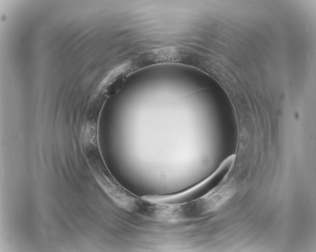 X0000060750096200511141210