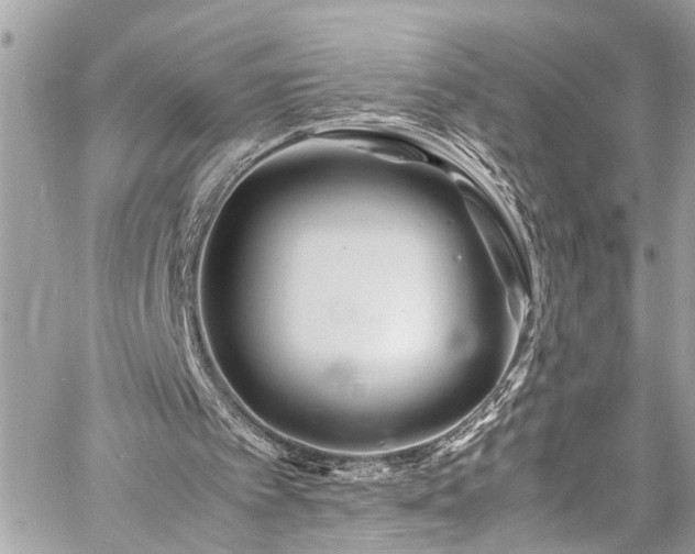 X0000060750097200511141209