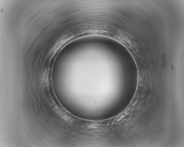 X0000060750098200511141209