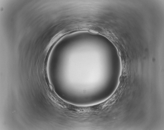 X0000060750099200511141209